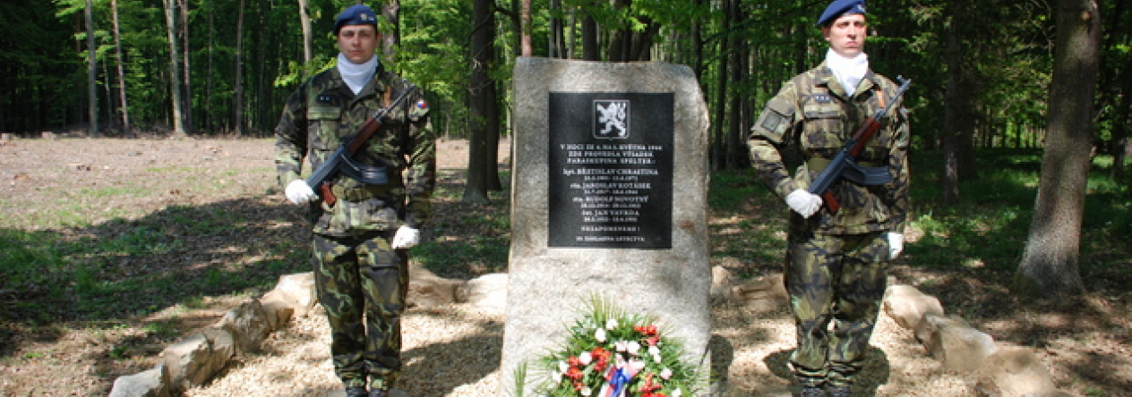 Výsadek SPELTER